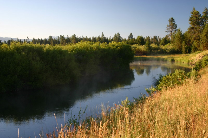 River Early AM